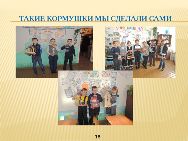 Такие кормушки мы сделали сами 18 