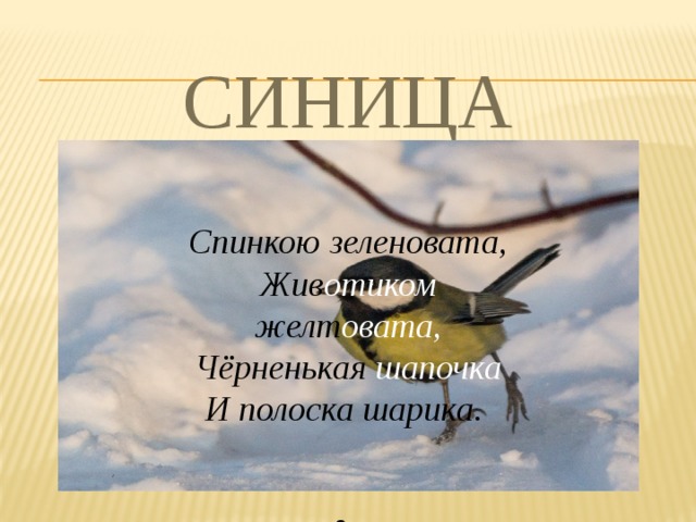 СИНИЦА Спинкою зеленовата, Жив отиком желт овата, Чёрненькая шапочка И полоска шарика.  8 