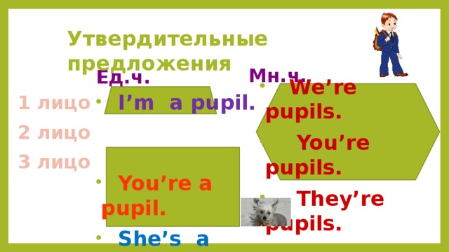 He to be a pupil. They pupils are составить предложение. They you a pupil. Are they pupils no they.