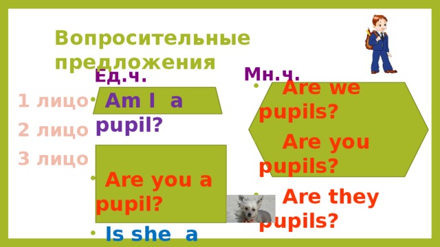 Предложение we is a pupil вопросительноп. Как переводится pupil. Are you a pupil. She is a Pupill.