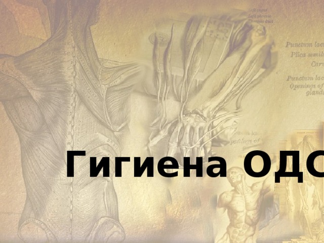  При длительном сокращении наступает постепенное снижение работоспособности мышц.  Такое состояние носит название мышечного утомления. 