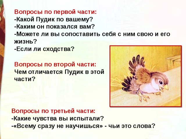 Вопросы по первой части: -Какой Пудик по вашему? -Каким он показался вам? -Можете ли вы сопоставить себя с ним свою и его жизнь?  -Если ли сходства? Вопросы по второй части: Чем отличается Пудик в этой части? Вопросы по третьей части: -Какие чувства вы испытали? -«Всему сразу не научишься» - чьи это слова? 