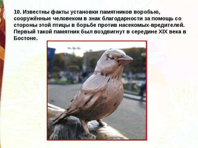 10. Известны факты установки памятников воробью, сооружённые человеком в знак благодарности за помощь со стороны этой птицы в борьбе против насекомых-вредителей. Первый такой памятник был воздвигнут в середине XIX века в Бостоне. 