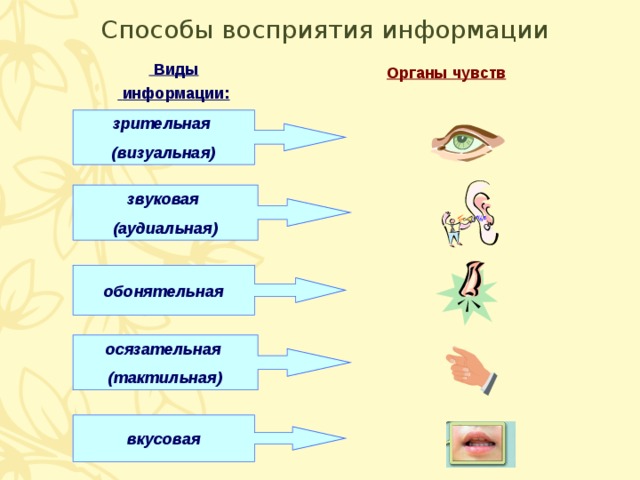 Схема передачи и восприятия информации