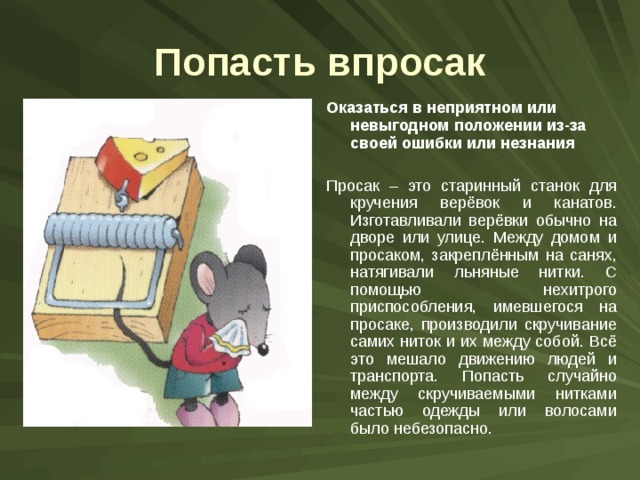 Попасть впросак Оказаться в неприятном или невыгодном положении из-за своей ошибки или незнания  Просак – это старинный станок для кручения верёвок и канатов. Изготавливали верёвки обычно на дворе или улице. Между домом и просаком, закреплённым на санях, натягивали льняные нитки. С помощью нехитрого приспособления, имевшегося на просаке, производили скручивание самих ниток и их между собой. Всё это мешало движению людей и транспорта. Попасть случайно между скручиваемыми нитками частью одежды или волосами было небезопасно. 