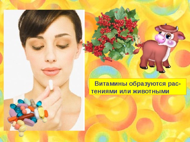  Витамины образуются рас- тениями или животными 