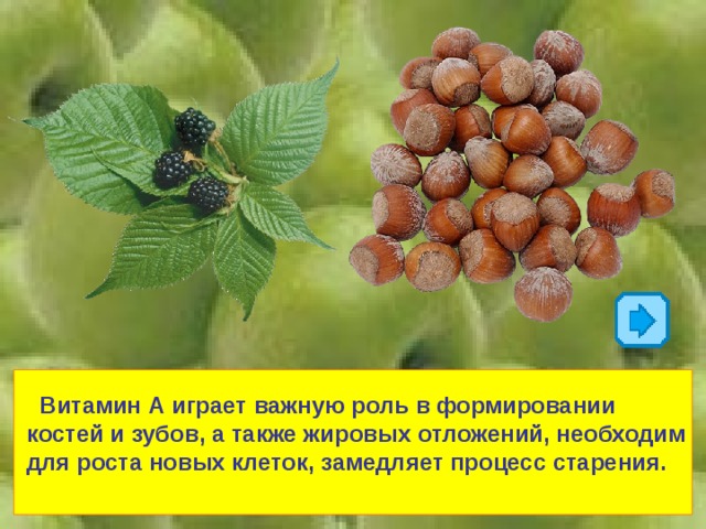  Витамин А играет важную роль в формировании костей и зубов, а также жировых отложений, необходим для роста новых клеток, замедляет процесс старения. 