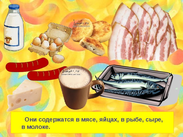 Они содержатся в мясе, яйцах, в рыбе, сыре, в молоке. 