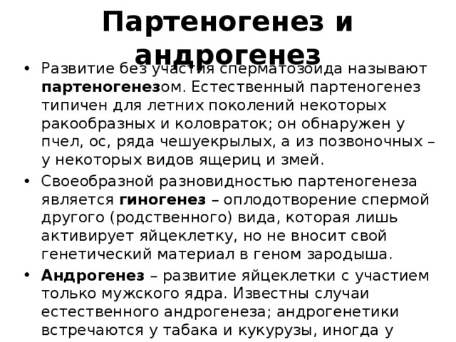 Картинки ГИНОГЕНЕЗ ЭТО