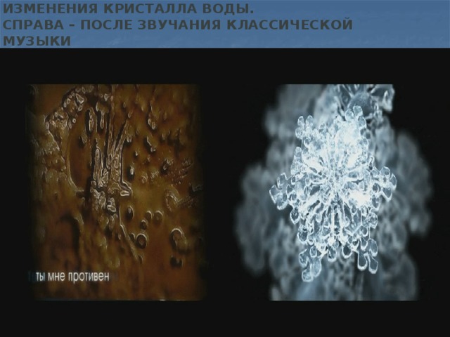 Вода под микроскопом после молитвы