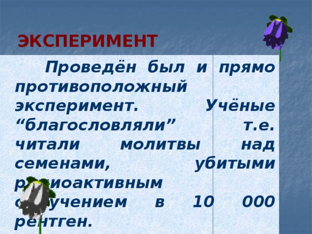 Эксперимент  Проведён был и прямо противоположный эксперимент. Учёные “благословляли” т.е. читали молитвы над семенами, убитыми радиоактивным облучением в 10 000 рентген .  