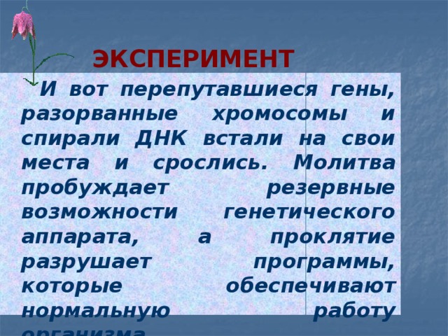 Эксперимент  И вот перепутавшиеся гены, разорванные хромосомы и спирали ДНК встали на свои места и срослись. Молитва пробуждает резервные возможности генетического аппарата, а проклятие разрушает программы, которые обеспечивают нормальную работу организма. 