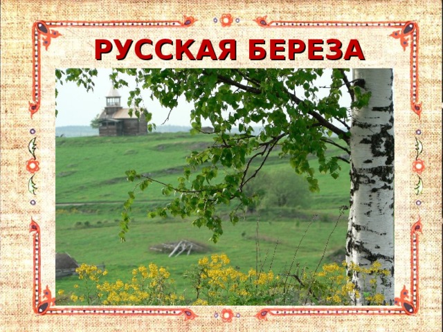 РУССКАЯ БЕРЕЗА 