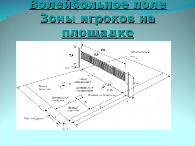 Волейбольное поле  Зоны игроков на площадке 