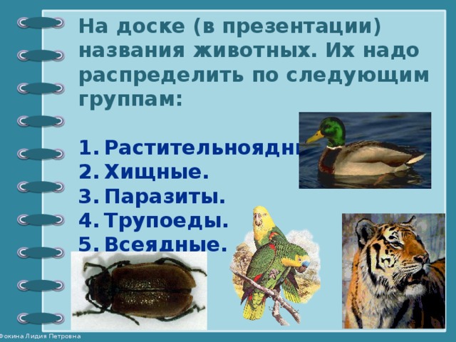 На доске (в презентации) названия животных. Их надо распределить по следующим группам:  Растительноядные. Хищные. Паразиты. Трупоеды. Всеядные. 