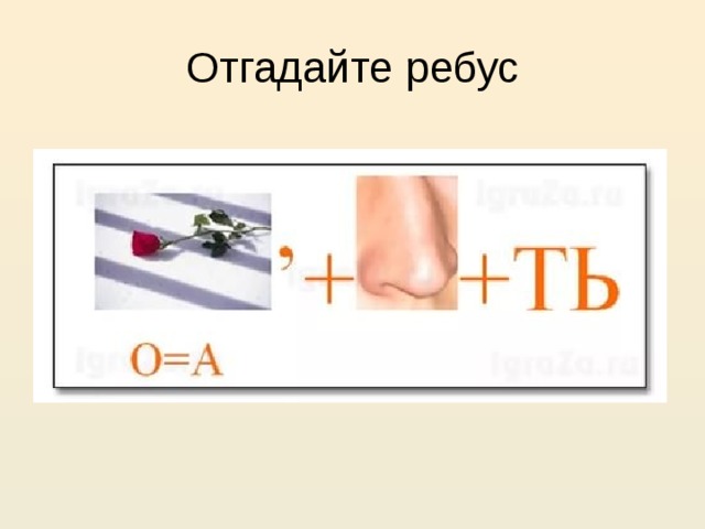 Отгадайте ребус