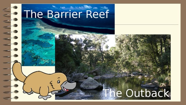 The Barrier Reef The Outback 