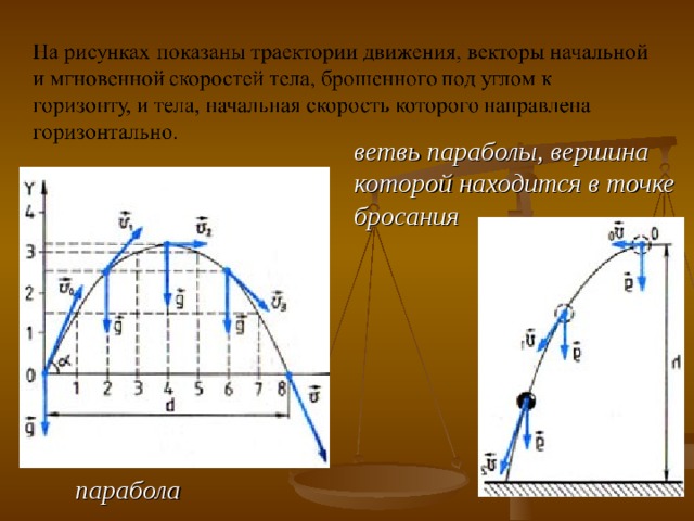 ветвь параболы, вершина которой находится в точке бросания парабола 