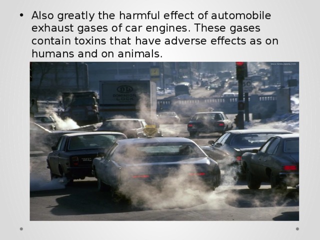 Also greatly the harmful effect of automobile exhaust gases of car engines. These gases contain toxins that have adverse effects as on humans and on animals. 