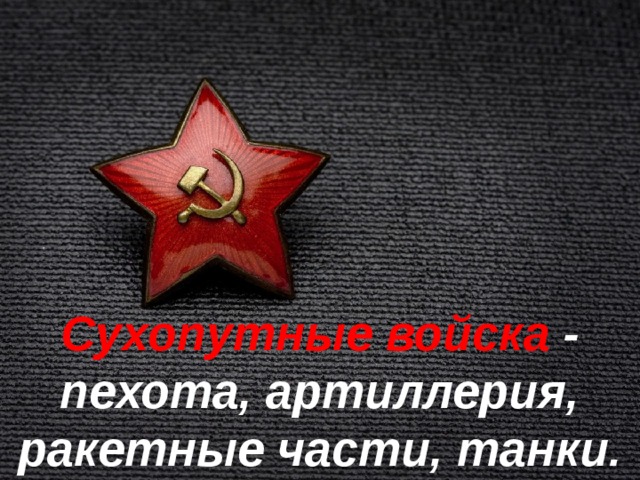 Сухопутные войска - пехота, артиллерия, ракетные части, танки. 