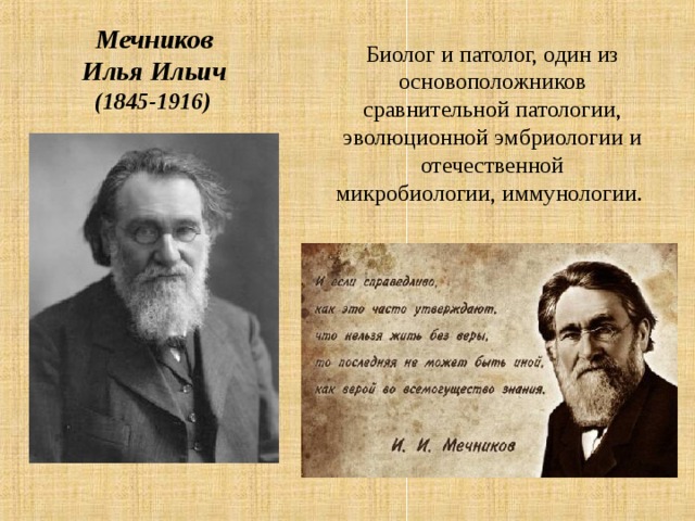 Мечников Илья Ильич (1845-1916)  Биолог и патолог, один из основоположников сравнительной патологии, эволюционной эмбриологии и отечественной микробиологии, иммунологии. 