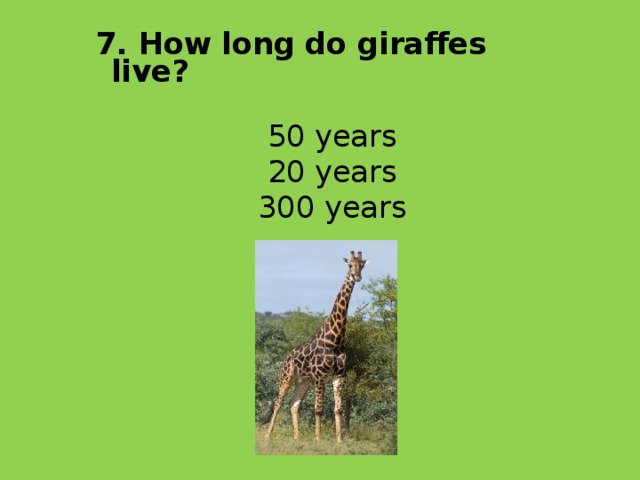 7. How long do giraffes live? 50 years 20 years 300 years 