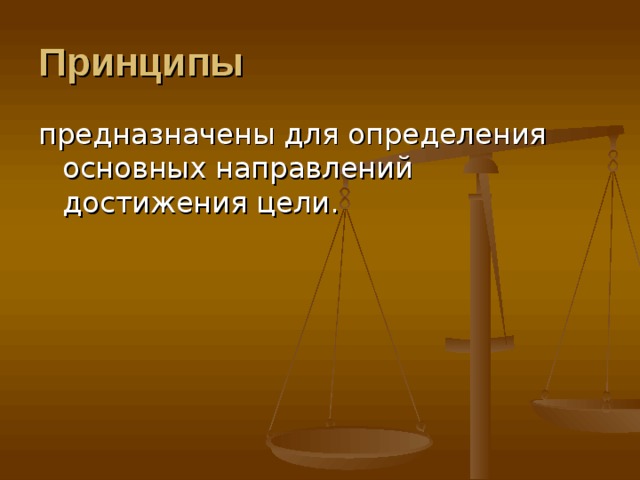 Принципы предназначены для определения основных направлений достижения цели. 