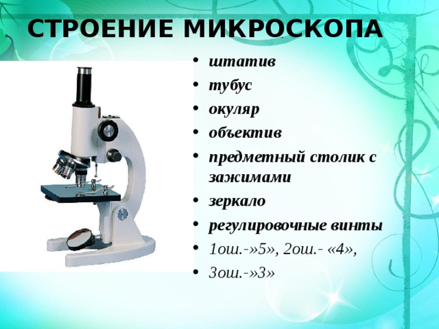 Микроскоп из чего состоит биология 5 класс схема с описанием