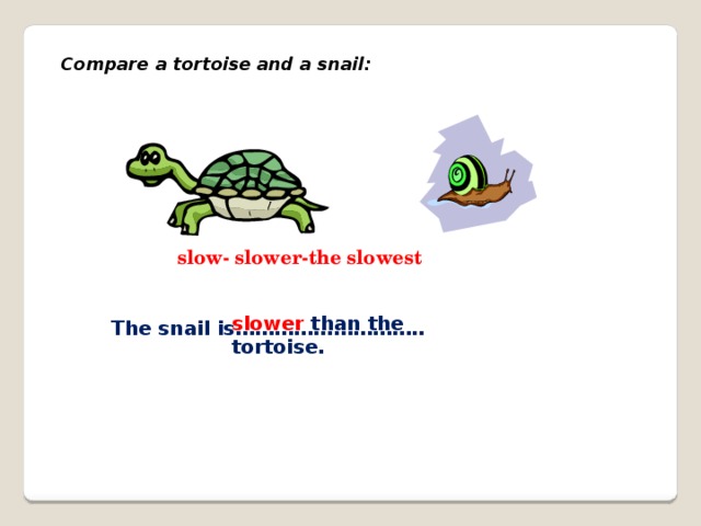 Compare a tortoise and a snail: slow- slower-the slowest slower than the tortoise. The snail is………………………..