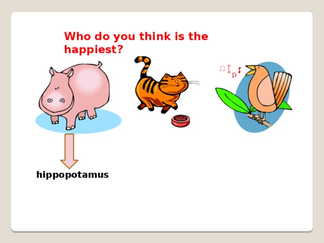 Who do you think is the happiest? hippopotamus