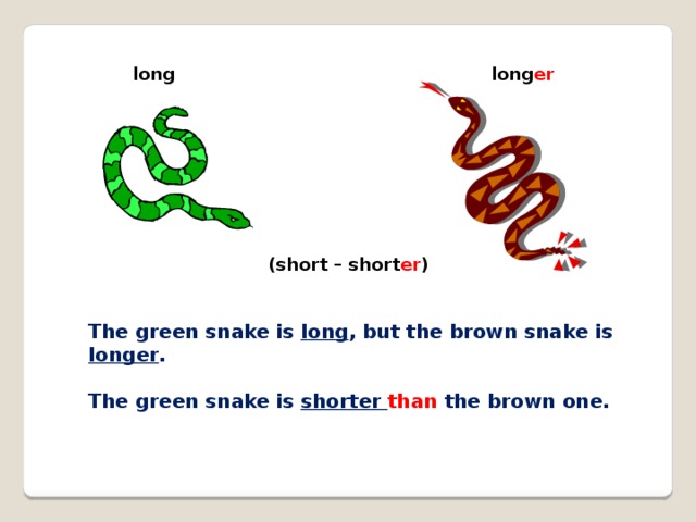 long long er (short – short er ) The green snake is long , but the brown snake is longer . The green snake is shorter than the brown one.