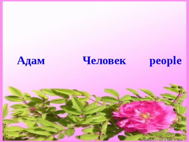 Адам Человек people 