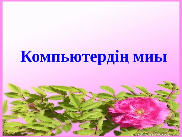 Компьютердің миы 