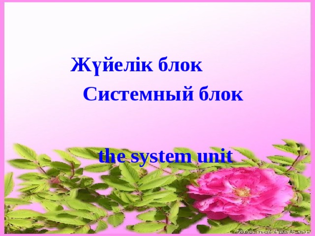 Жүйелік блок Системный блок  the system unit 