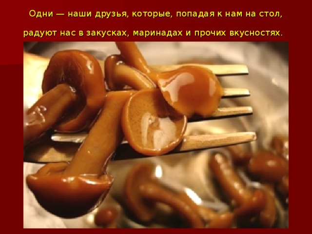 Одни — наши друзья, которые, попадая к нам на стол, радуют нас в закусках, маринадах и прочих вкусностях.  