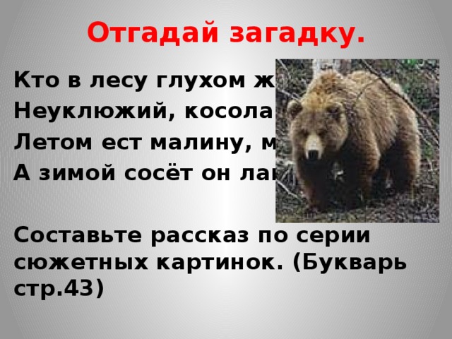 Отгадай загадку. Кто в лесу глухом живёт – Неуклюжий, косолапый, Летом ест малину, мёд, А зимой сосёт он лапу?  Составьте рассказ по серии сюжетных картинок. (Букварь стр.43) 