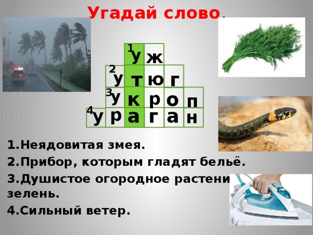 Угадай слово . 1.Неядовитая змея. 2.Прибор, которым гладят бельё. 3.Душистое огородное растение, зелень. 4.Сильный ветер. 1 у ж 2 т г у ю 3 у к о р п 4 а а г р у н 