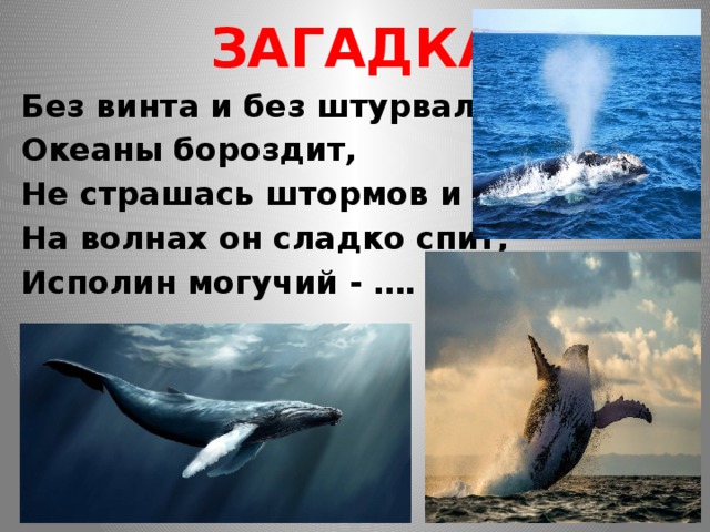 ЗАГАДКА Без винта и без штурвала Океаны бороздит, Не страшась штормов и шквала. На волнах он сладко спит, Исполин могучий - …. . 