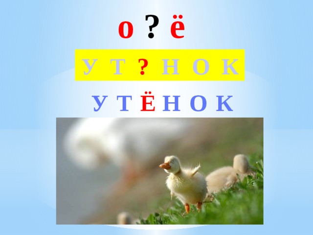 о ? ё У Т ?  Н О К У Т Ё  Н О К 