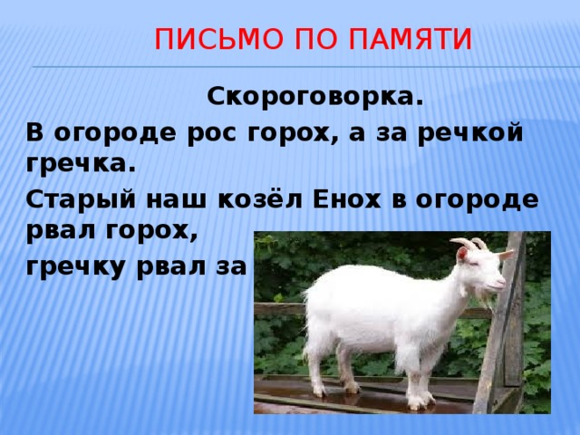  Письмо по памяти  Скороговорка. В огороде рос горох, а за речкой гречка. Старый наш козёл Енох в огороде рвал горох, гречку рвал за речкой. 