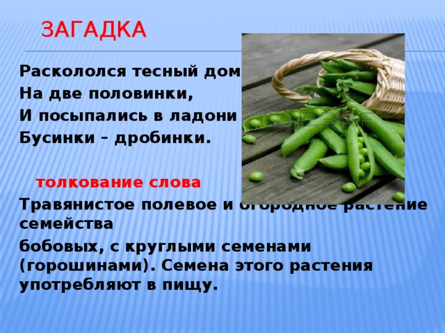  загадка Раскололся тесный домик На две половинки, И посыпались в ладони Бусинки – дробинки.   толкование слова Травянистое полевое и огородное растение семейства бобовых, с круглыми семенами (горошинами). Семена этого растения употребляют в пищу.  