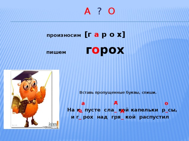  А ? О  произносим  [г а р о х]  пишем г о рох      Вставь пропущенные буквы, спиши.    На к _ пусте сла _ кой капельки р _ сы,  и г _ рох над гря _ кой распустил усы .    д а о о д  