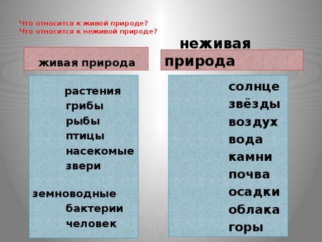 Вода не относится к природе