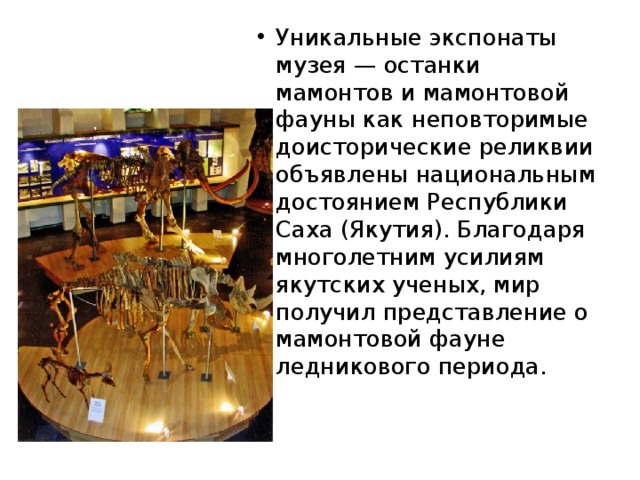 Уникальные экспонаты музея — останки мамонтов и мамонтовой фауны как неповторимые доисторические реликвии объявлены национальным достоянием Республики Саха (Якутия). Благодаря многолетним усилиям якутских ученых, мир получил представление о мамонтовой фауне ледникового периода. 