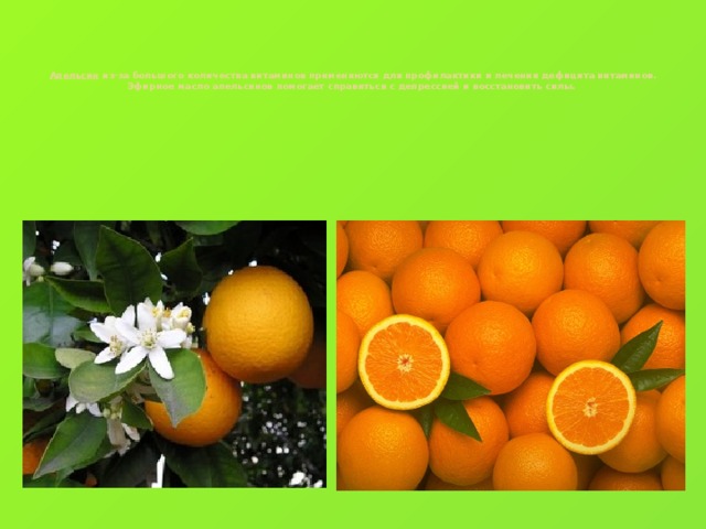 Апельсин из-за большого количества витаминов применяются для профилактики и лечения дефицита витаминов. Эфирное масло апельсинов помогает справиться с депрессией и восстановить силы.