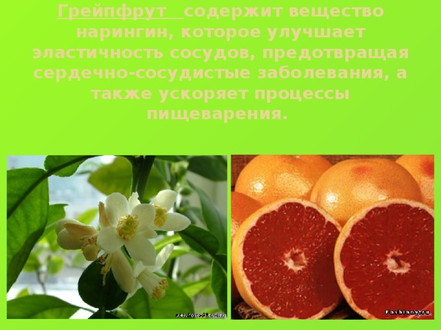 Грейпфрут содержит вещество нарингин, которое улучшает эластичность сосудов, предотвращая сердечно-сосудистые заболевания, а также ускоряет процессы пищеварения.