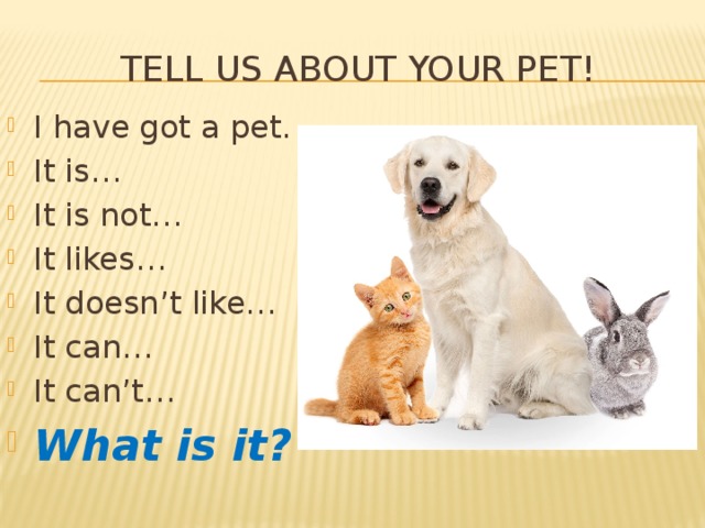 Tell us about your Pet! I have got a pet. It is… It is not… It likes… It doesn’t like… It can… It can’t… What is it? 