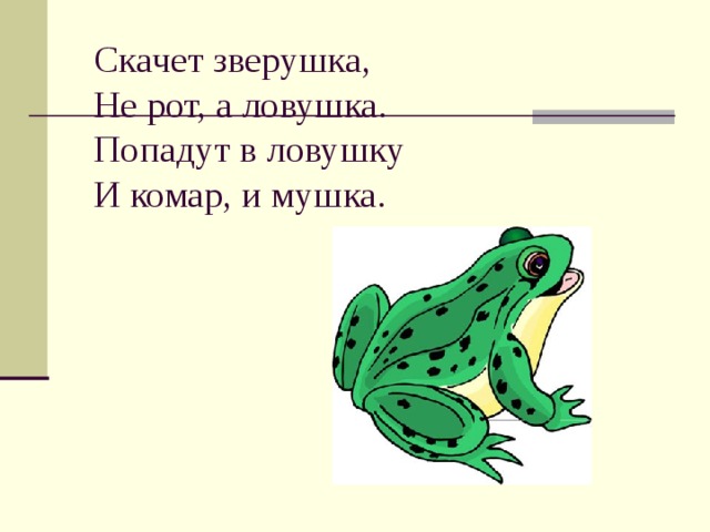 Скачет зверушка,  Не рот, а ловушка.  Попадут в ловушку  И комар, и мушка. 
