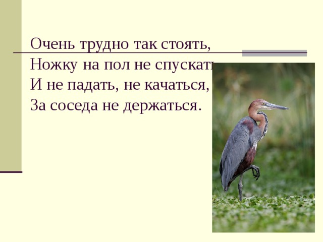  Очень трудно так стоять,  Ножку на пол не спускать,  И не падать, не качаться,  За соседа не держаться. 