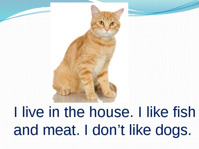 I live in the house. I like fish and meat. I don’t like dogs.